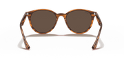 Dark Brown Lenses, Polished Striped Red Havana Frame