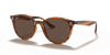 [Dark Brown Lenses, Polished Striped Red Havana Frame]