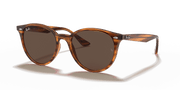 Dark Brown Lenses, Polished Striped Red Havana Frame