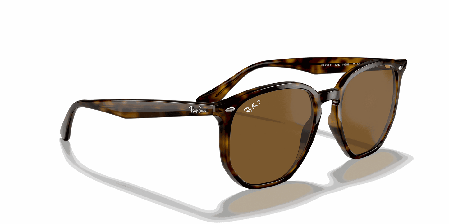 [B-15 Brown Lenses, Polished Light Havana Frame]