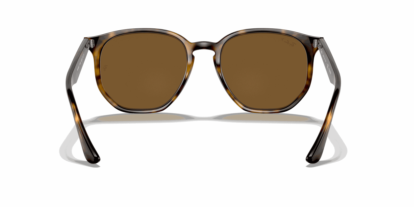 [B-15 Brown Lenses, Polished Light Havana Frame]