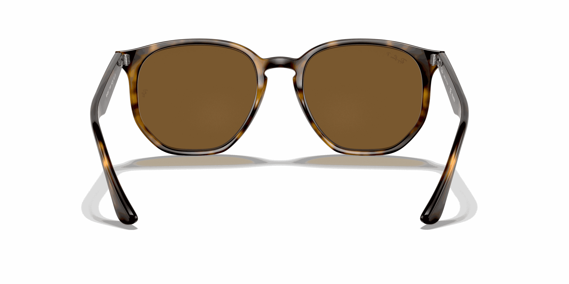 [B-15 Brown Lenses, Polished Light Havana Frame]