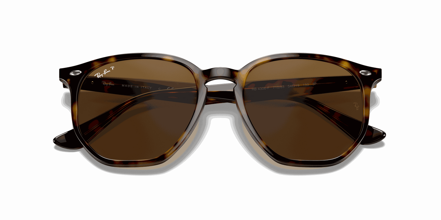 [B-15 Brown Lenses, Polished Light Havana Frame]