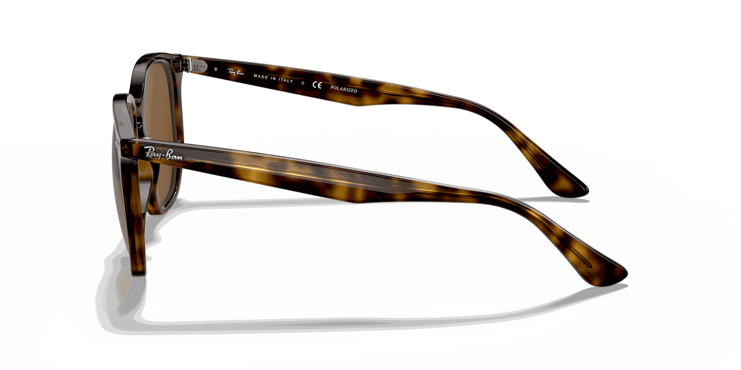 [B-15 Brown Lenses, Polished Light Havana Frame]