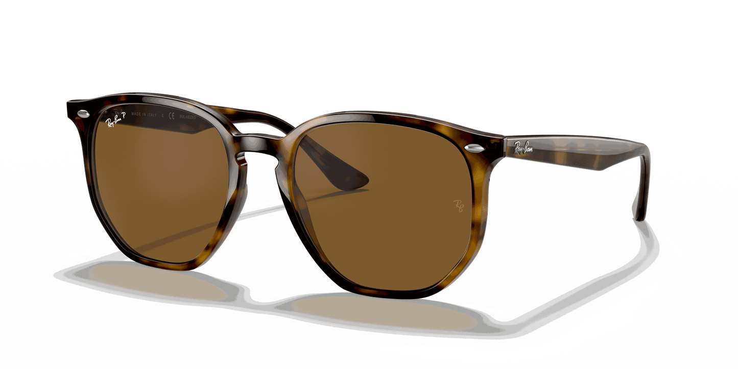 [B-15 Brown Lenses, Polished Light Havana Frame]