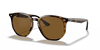 [B-15 Brown Lenses, Polished Light Havana Frame]