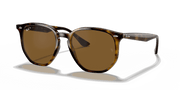 B-15 Brown Lenses, Polished Light Havana Frame