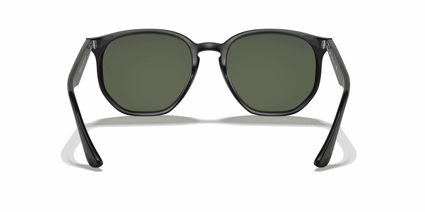 [Dark Green Lenses, Polished Black Frame]