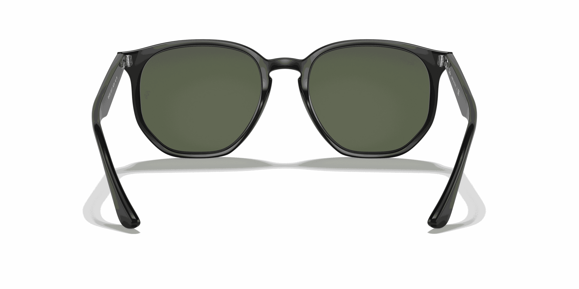 [Dark Green Lenses, Polished Black Frame]