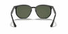 [Dark Green Lenses, Polished Black Frame]