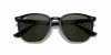 [Dark Green Lenses, Polished Black Frame]