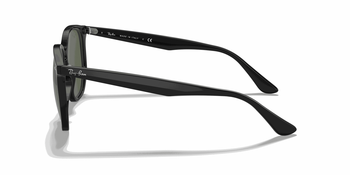 [Dark Green Lenses, Polished Black Frame]