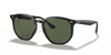 [Dark Green Lenses, Polished Black Frame]