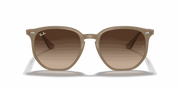 Dark Brown Lenses, Polished Beige Frame