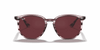 [Dark Violet Lenses, Polished Striped Bordeaux Havana Frame]