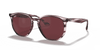 [Dark Violet Lenses, Polished Striped Bordeaux Havana Frame]