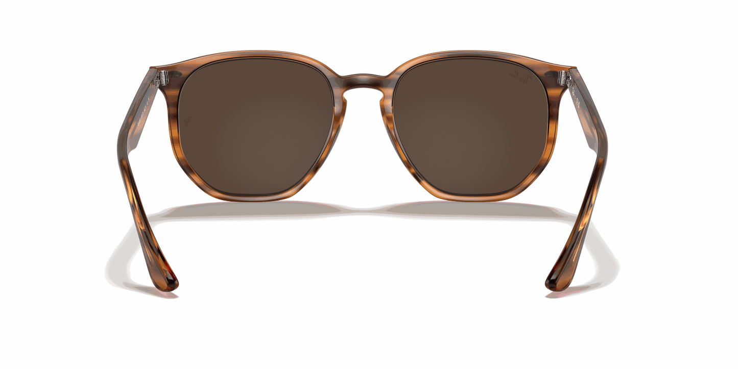 [Dark Brown Lenses, Polished Striped Red Havana Frame]