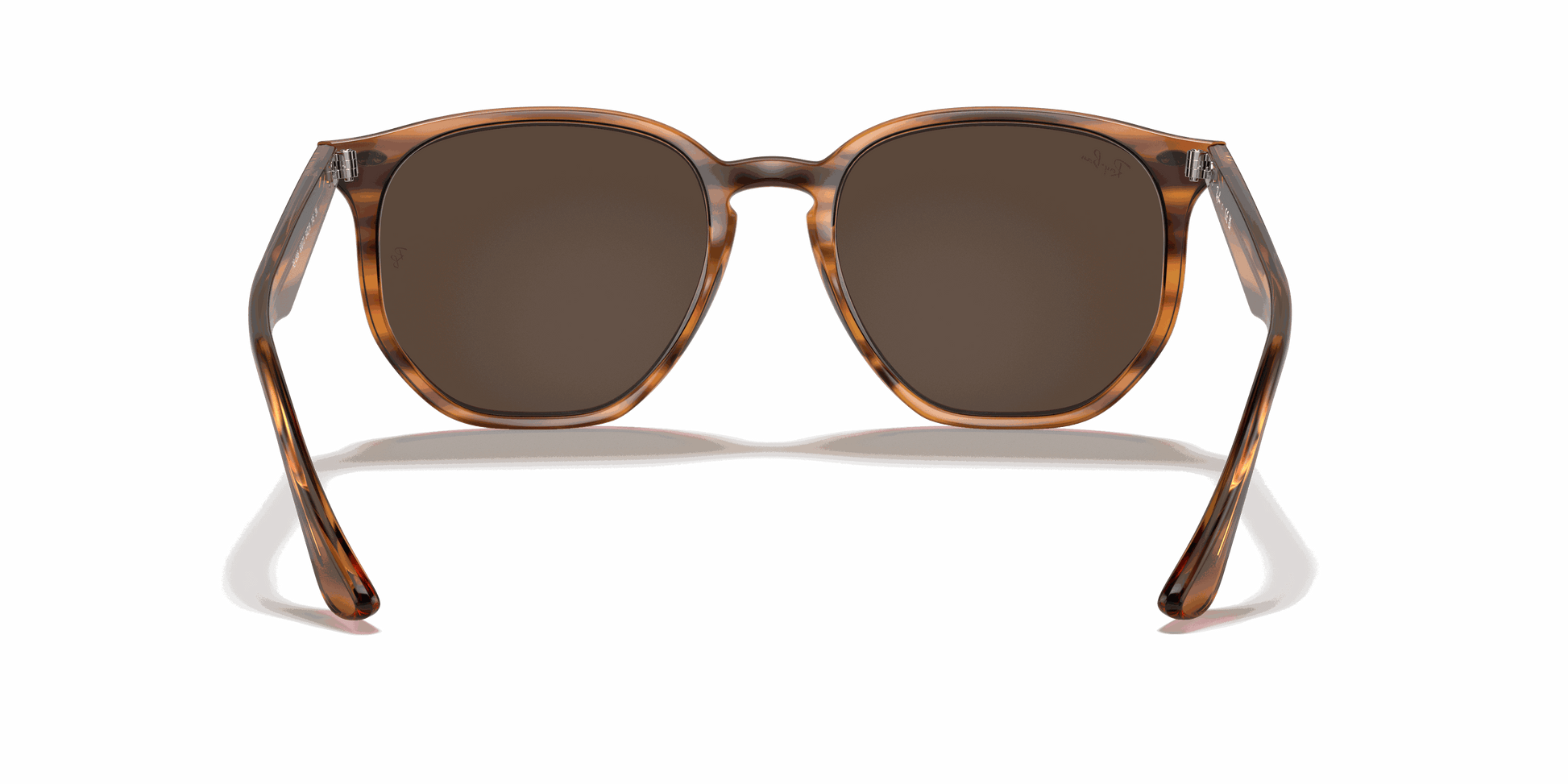 [Dark Brown Lenses, Polished Striped Red Havana Frame]