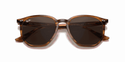 Dark Brown Lenses, Polished Striped Red Havana Frame