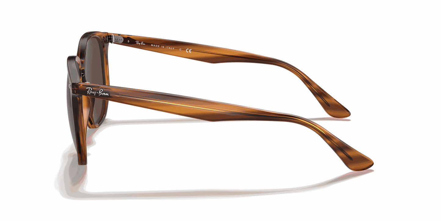 [Dark Brown Lenses, Polished Striped Red Havana Frame]