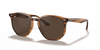 [Dark Brown Lenses, Polished Striped Red Havana Frame]