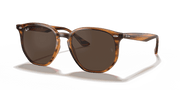 Dark Brown Lenses, Polished Striped Red Havana Frame