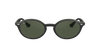 [Dark Green Lenses, Polished Black Frame]