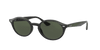 [Dark Green Lenses, Polished Black Frame]