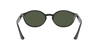 [Dark Green Lenses, Polished Black Frame]