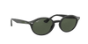 [Dark Green Lenses, Polished Black Frame]