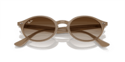 Brown Lenses, Polished Turtledove Frame