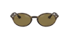 [B-15 Brown Lenses, Polished Light Havana Frame]