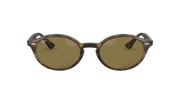 B-15 Brown Lenses, Polished Light Havana Frame