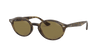 [B-15 Brown Lenses, Polished Light Havana Frame]