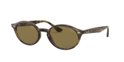 B-15 Brown Lenses, Polished Light Havana Frame