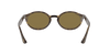 [B-15 Brown Lenses, Polished Light Havana Frame]