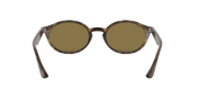 B-15 Brown Lenses, Polished Light Havana Frame