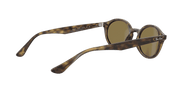 B-15 Brown Lenses, Polished Light Havana Frame