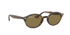 [B-15 Brown Lenses, Polished Light Havana Frame]