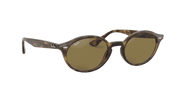 B-15 Brown Lenses, Polished Light Havana Frame