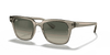 [Grey Gradient Lenses, Polished Transparent Grey Frame]