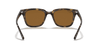 [B-15 Brown Lenses, Polished Light Havana Frame]