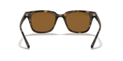 B-15 Brown Lenses, Polished Light Havana Frame