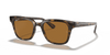 [B-15 Brown Lenses, Polished Light Havana Frame]