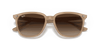 [Brown Lenses, Polished Light Brown Frame]