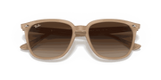 Brown Lenses, Polished Light Brown Frame