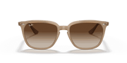 Brown Lenses, Polished Light Brown Frame