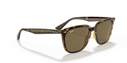 Dark Brown Lenses, Polished Havana Frame