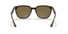 [Dark Brown Lenses, Polished Havana Frame]