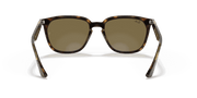 Dark Brown Lenses, Polished Havana Frame